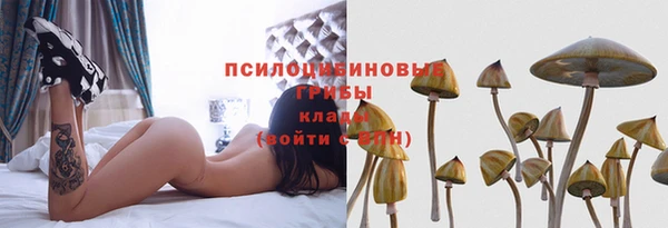 гашишное масло Краснослободск