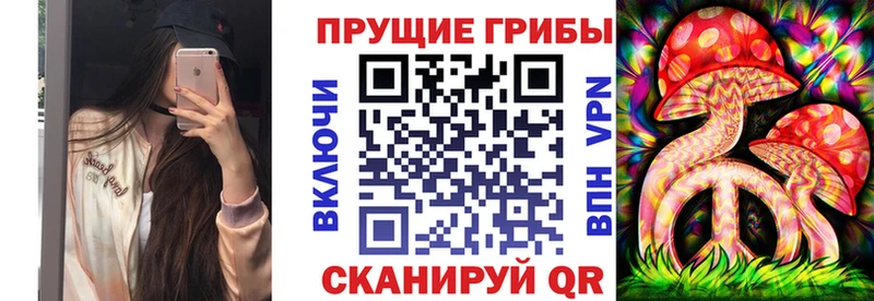 Псилоцибиновые грибы Cubensis  гидра ссылки  Никольск 